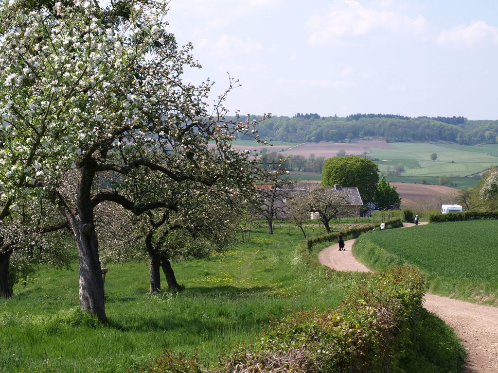 Buitenplaats De Mechelerhof Malines Extérieur photo
