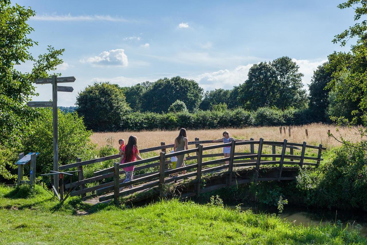 Buitenplaats De Mechelerhof Malines Extérieur photo